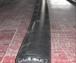 �������z���҃�Ĥ