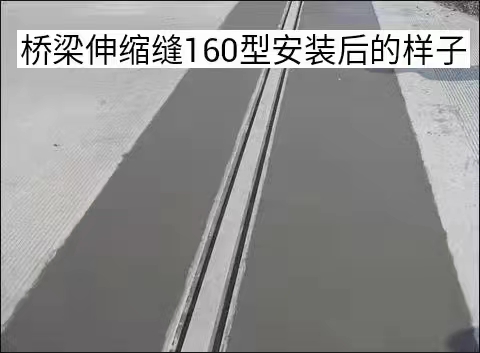 ������s�p160��